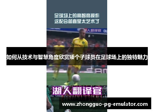 如何从技术与智慧角度欣赏矮个子球员在足球场上的独特魅力