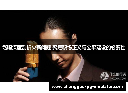 赵鹏深度剖析欠薪问题 聚焦职场正义与公平建设的必要性