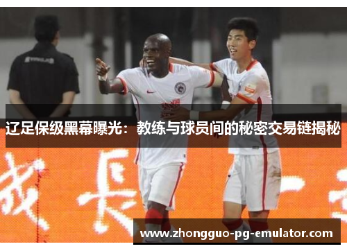 辽足保级黑幕曝光：教练与球员间的秘密交易链揭秘