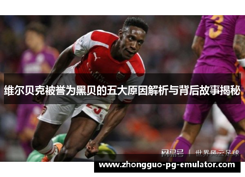 维尔贝克被誉为黑贝的五大原因解析与背后故事揭秘