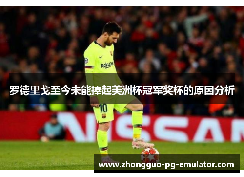 罗德里戈至今未能捧起美洲杯冠军奖杯的原因分析