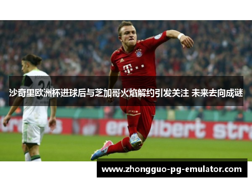 沙奇里欧洲杯进球后与芝加哥火焰解约引发关注 未来去向成谜