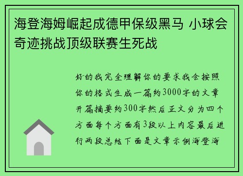 海登海姆崛起成德甲保级黑马 小球会奇迹挑战顶级联赛生死战